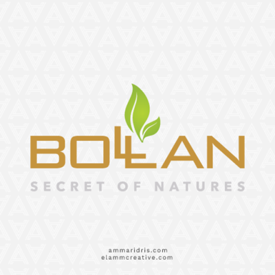 Bollan